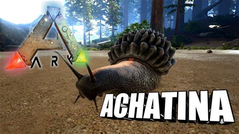 Ark survival evolved achatina - Achatina Paste Command (GFI Code) The admin cheat command, along with this item's GFI code can be used to spawn yourself Achatina Paste in Ark: Survival Evolved. Copy the command below by clicking the "Copy" button. Paste this command into your Ark game or server admin console to obtain it. For more GFI codes, visit our GFI codes list.